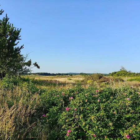 6 Person In Pandrup-by Traum