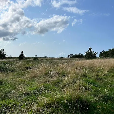 6 Person In Pandrup-by Traum * Pandrup